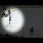 This Moment Changed The NHL Forever