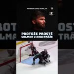 Icing GM: Anaheim Ducks 🦆 Dostál podepsal! Vychytá Ducks playoff? Sleduj už teď zdarma na yt. 🧊