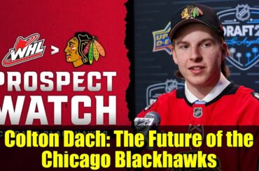 Dach   The Future of the CColton Dach: The Future of the Chicago Blackhawkshicago Blackhawks