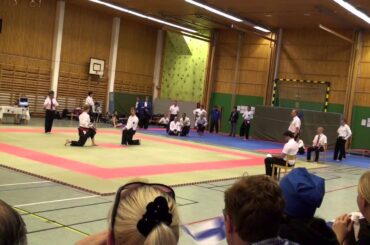 European Taido Championship 2015: Bronze match between Philip Högberg and Jasser Anoschkin