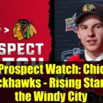 NHL Prospect Watch: Chicago Blackhawks - Rising Stars in the Windy City