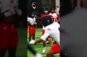 Does Cincy put it together in year 3 under Scott Satterfield and become a contender in the Big 12?