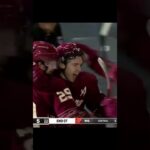 GOAL  Clayton Keller 2  Arizona Coyotes v Minnesota Wild  NHL 2022 23#shorts