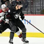 Recap: San Diego Gulls vs. Tucson Roadrunners, 4.6