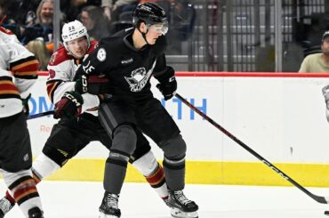 Recap: San Diego Gulls vs. Tucson Roadrunners, 4.6