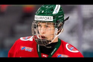 Detroit redwings select the top European defenseman Simon edvinsson.