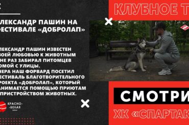 Александр Пашин на фестивале «Добролап».