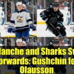 Sharks Acquire Oskar Olausson for Danil Gushchin: A High-Stakes NHL Prospect Deal