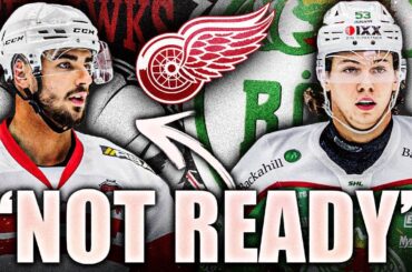 Steve Yzerman Says Joe Veleno ISN'T READY? Red Wings Keep Him & Moritz Seider In SHL FULL TIME—2021