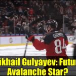 Mikhail Gulyayev: Future Avalanche Star? | NHL 2026 Prospects