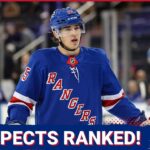 Ranking the TOP 5 Ranger prospects! Gabe Perreault, Brennan Othmann and more!
