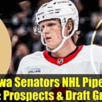 Ottawa Senators NHL Pipeline 2025: Prospects & Draft Grades