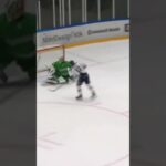 Jakub Vrana i Linköping HC i SHL (#Shorts)