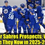 Former Sabres Prospects: Where Are They Now in 2025-26?
