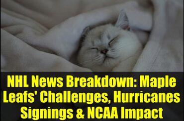 NHL News Breakdown: Maple Leafs' Challenges, Hurricanes Signings & NCAA Impact