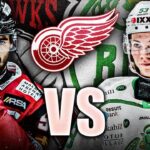 MORITZ SEIDER VS JOE VELENO: DETROIT RED WINGS PROSPECT SHOWDOWN IN THE SHL (NHL News & Rumours)