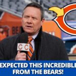 READY! BEARS SURPRISE EVERYONE AND ANNOUNCE NEW STAR ON THE TEAM! BEARS NEWS