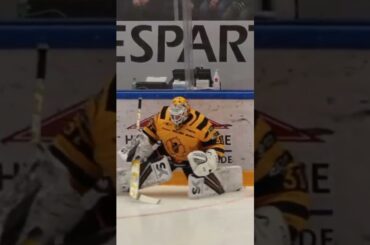 Välkommen tillbaka Strauss Mann (Skellefteå AIK) (#Shorts)