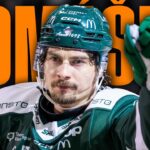 What Should Edmonton Oilers Fans Expect From David Tomášek