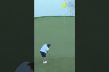 DREAM moment on 17th hole 💙