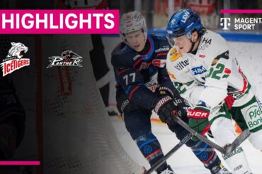 Nürnberg Ice Tigers - Augsburger Panther | PENNY DEL | MAGENTA SPORT