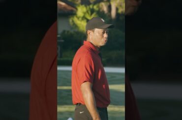 "When I'm flushing it, I don't take divots." - Tiger Woods | TaylorMade Golf
