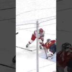 Sergei Bobrovsky Is Not Human 🦾