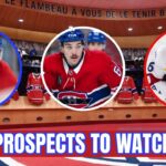 Montreal Canadiens: 3 Wildcard Prospects to Watch