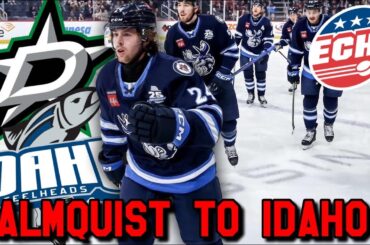 Dallas Stars Sign Liam Malmquist to ECHL Contract!! Jets Fan Reaction!!