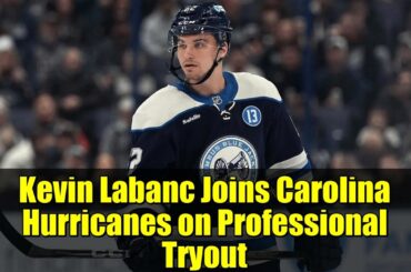 Kevin Labanc Joins Carolina Hurricanes on Professional Tryout | NHL News