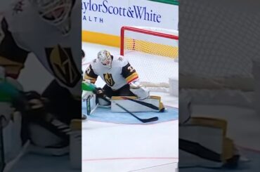 #33 Adin Hill W/Big leg save really late in regulation.