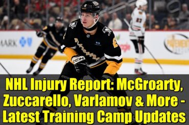 NHL Injury Report: McGroarty, Zuccarello, Varlamov & More - Latest Training Camp Updates
