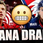 HUGE JAKUB VRANA CONTROVERSY IN SWEDEN: FORMER RED WINGS FORWARD MAKING HEADLINES AGAIN