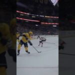 David Edstrom makes it 5-0 to SHUTOUT the Panthers #nhl #predsnhl