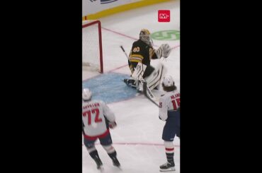 Washington Capitals with a Goal vs Boston Bruins