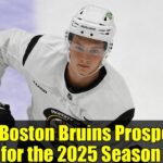 Top Boston Bruins Prospects for the 2025 Season