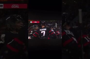 Olle lycksell the loose puck rebound goal ⚫️🔴#ottawasenators#nhl#lycksell#preseason#highlights