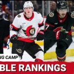 Which Ottawa Senators NHL Bubble Players Have The Best Chance Of Making The Opening Night Roster?