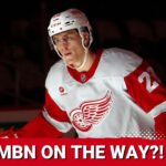 Have Michael Brandsegg-Nygard and Axel Sandin-Pellikka made the team? | Gustafsson and Holl waived