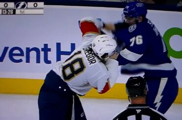 NHL hockey fight - Roman Schmidt(Lightning) vs. Noah Gregor(Panthers)
