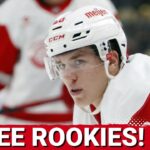 AXEL SANDIN-PELLIKKA, MICHAEL BRANDSEGG-NYGARD AND EMMITT FINNIE ARE DETROIT RED WINGS