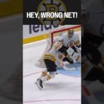 HEY, WRONG NET! 😱