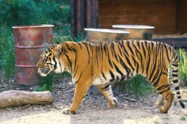 Zak Jones at the Zoo