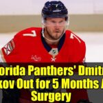 Florida Panthers' Dmitry Kulikov Out for 5 Months After Surgery | NHL Injury Update