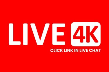 Payas Jain v.s Samuel Walker Live Stream ((Table Tennis)) Wtt Star Contender Ljubljana