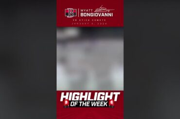 Highlight of the Week: Bonjo Hatty 🎩