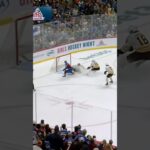 MacKinnon Undresses Swayman