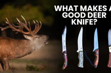 The PERFECT Knife for Deer Hunting