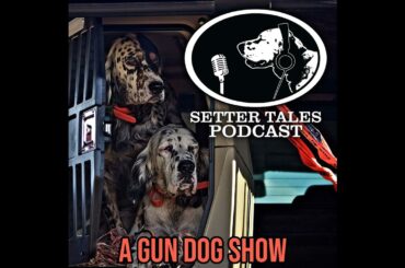 MEMORIES FROM THE FIELD with Brad Donald | Setter Tales Podcast