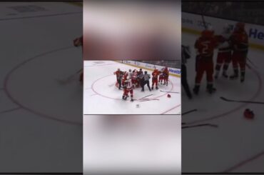 Ducks Vs Canes Brawl: Dostál Skates Into Chaos 🏒🔥